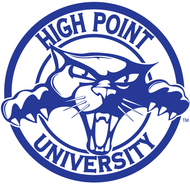 High Point Panthers 2004-2011 Alternate Logo t shirts iron on transfers